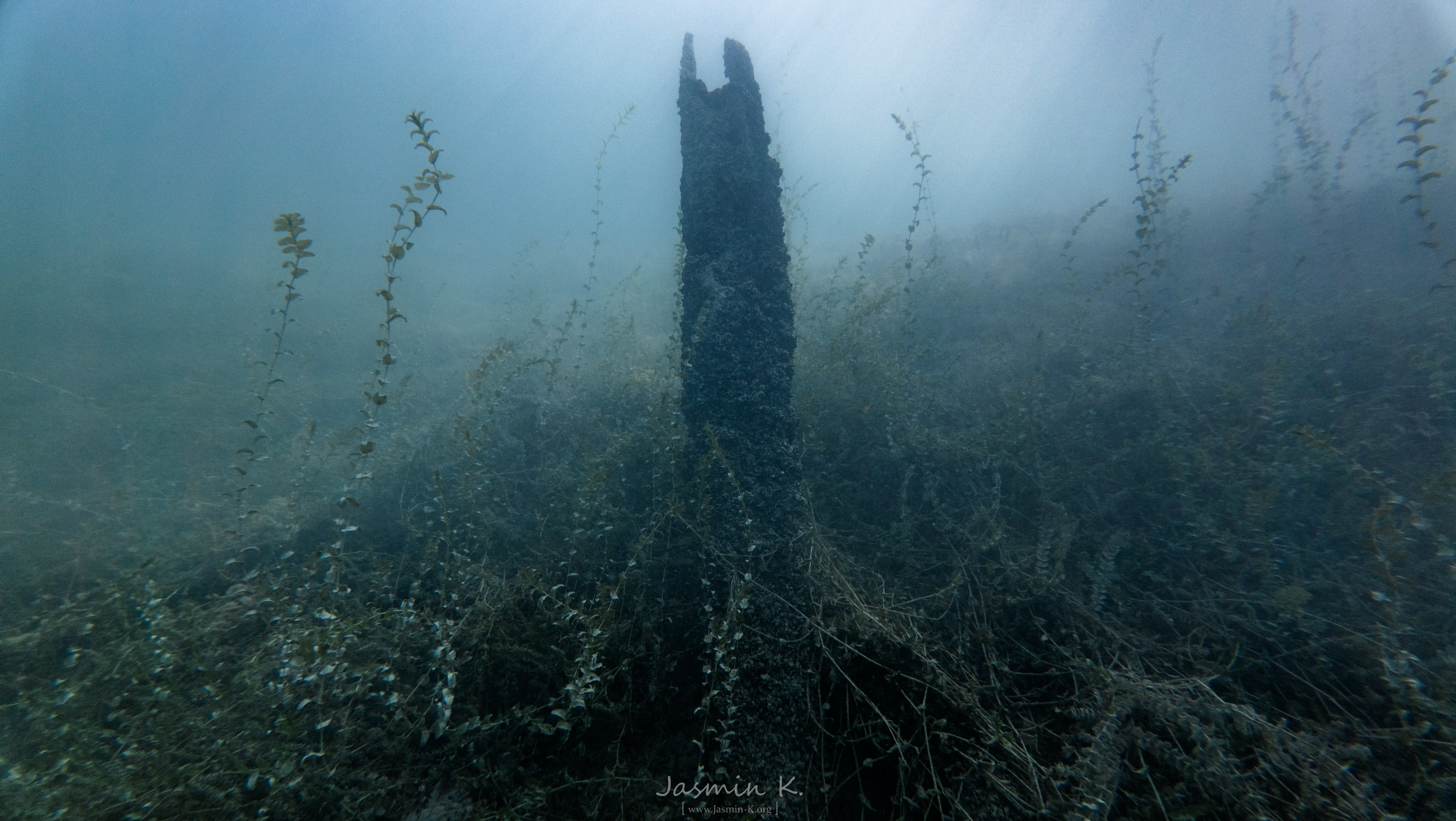 DJI 20250815120415 0298 D 002