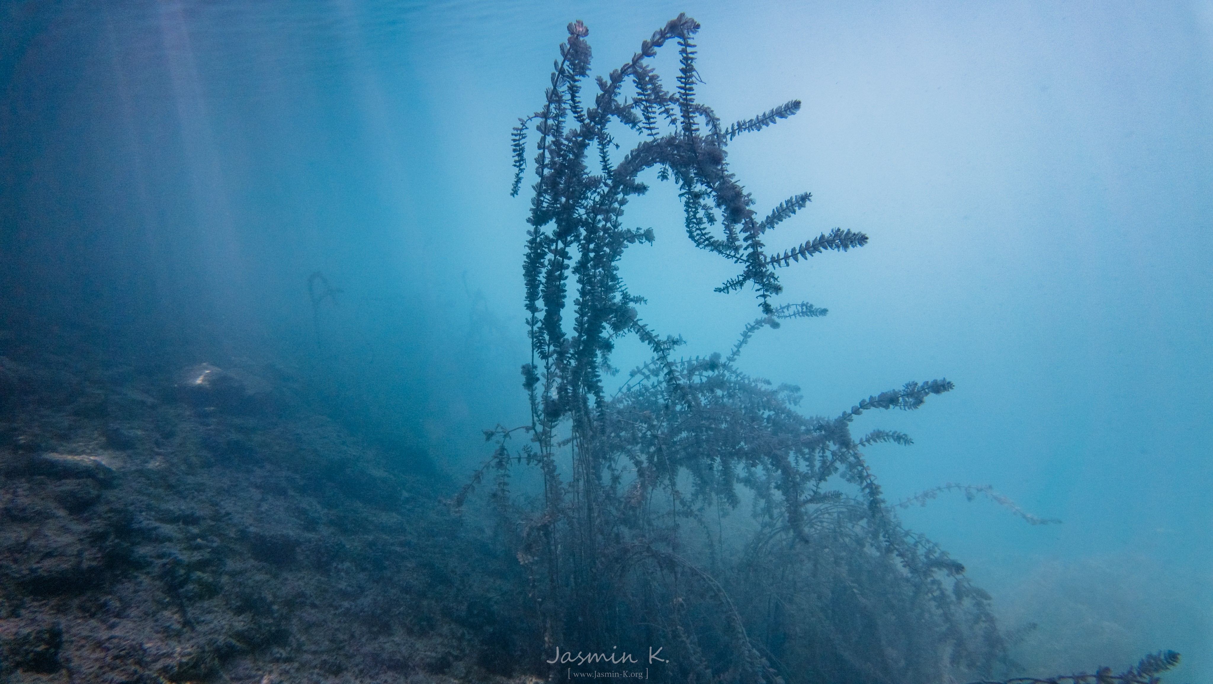 DJI 20250815124154 0302 D 001