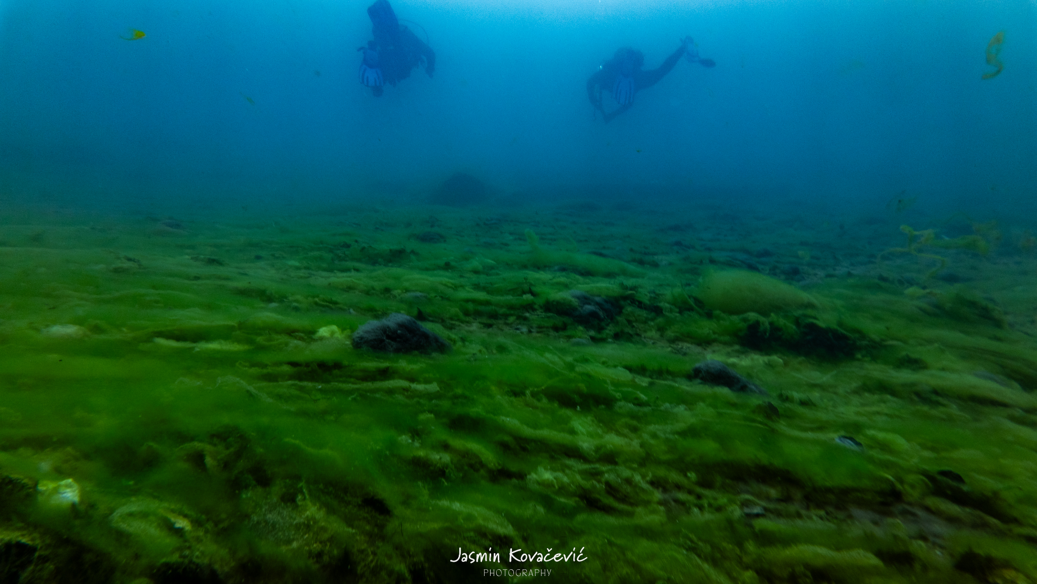 DJI 20250719111846 0077 D 002