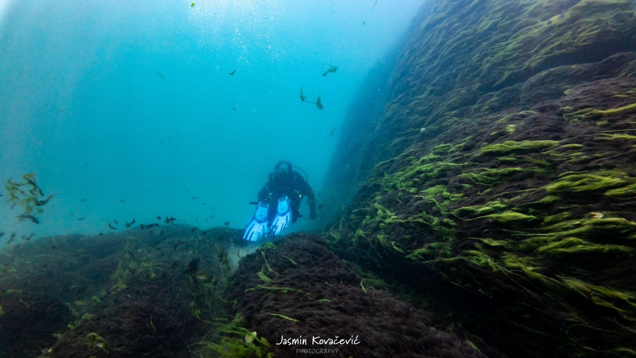 DJI 20250719115851 0103 D 002