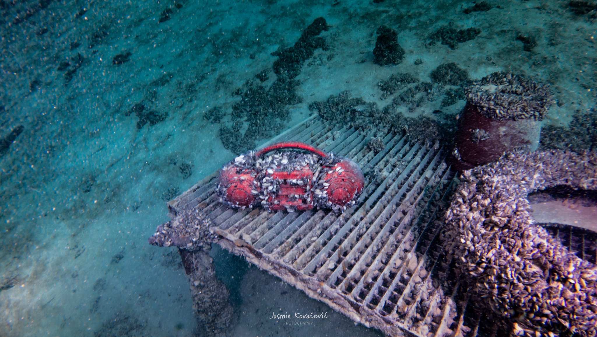 DJI 20250208131816 0044 D 001