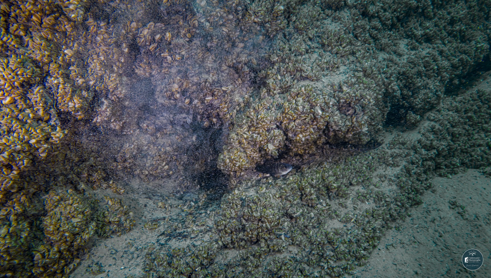 DJI 20251228121556 0035 D JUS1