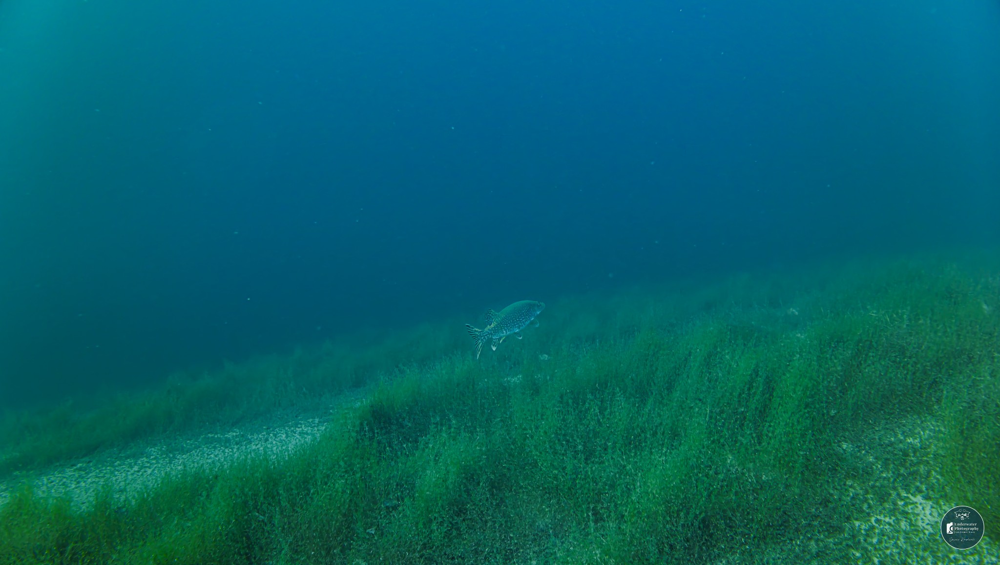 DJI 20251228122733 0044 D JUS1