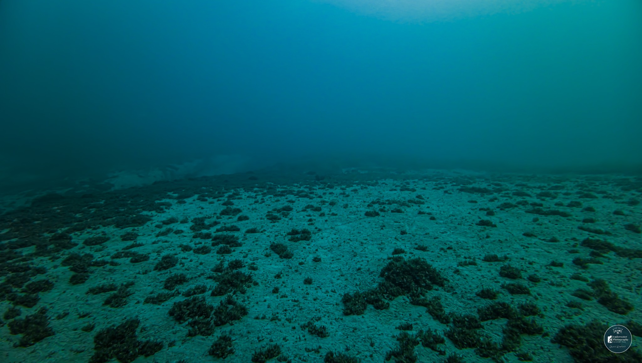 DJI 20251228154533 0073 D JUS1