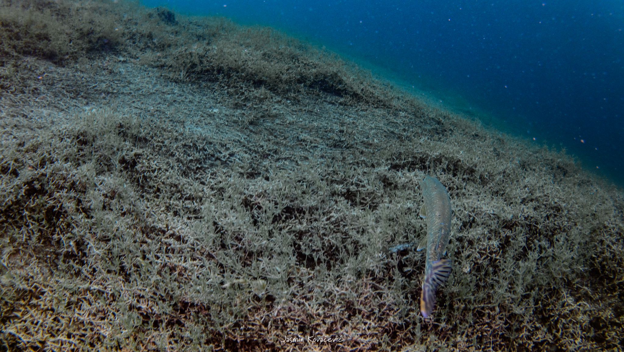 DJI 20250517120027 0098 D 001