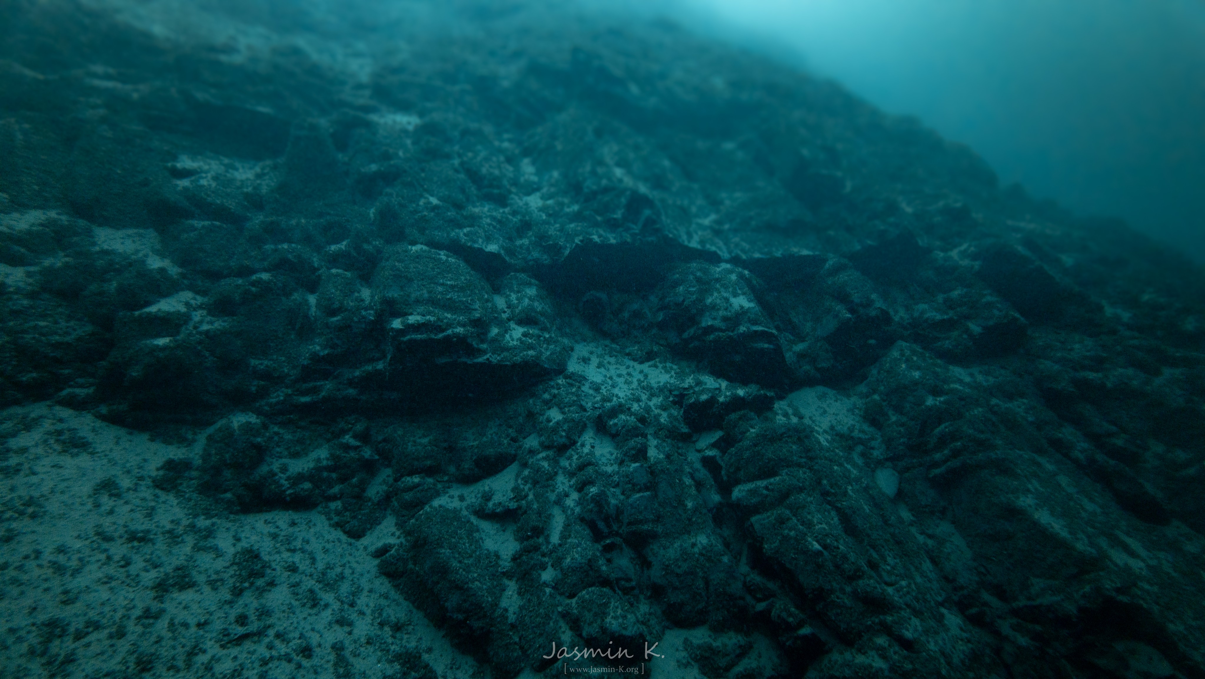 DJI 20250815111505 0247 D 001