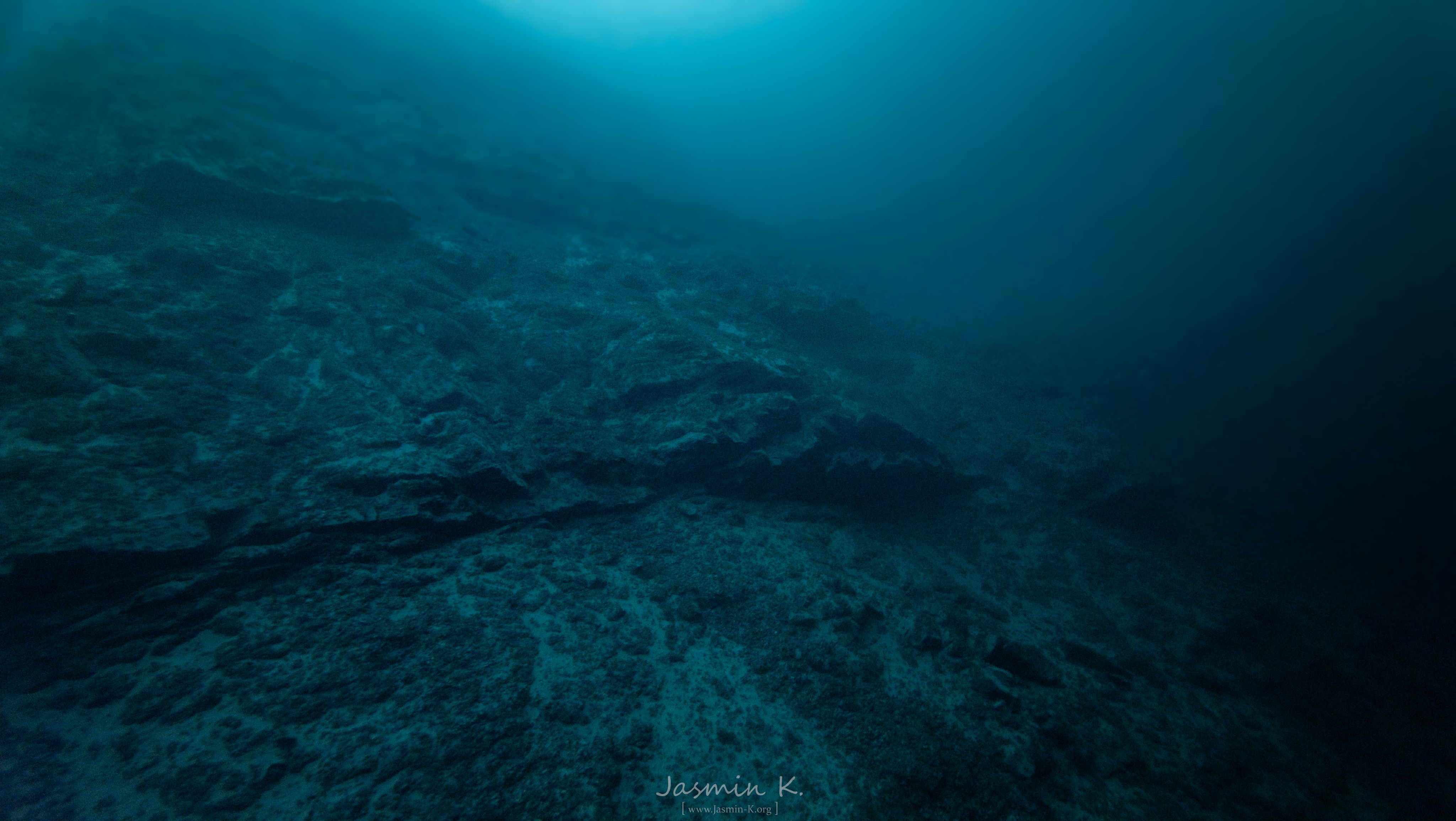 DJI 20250815111618 0250 D 001