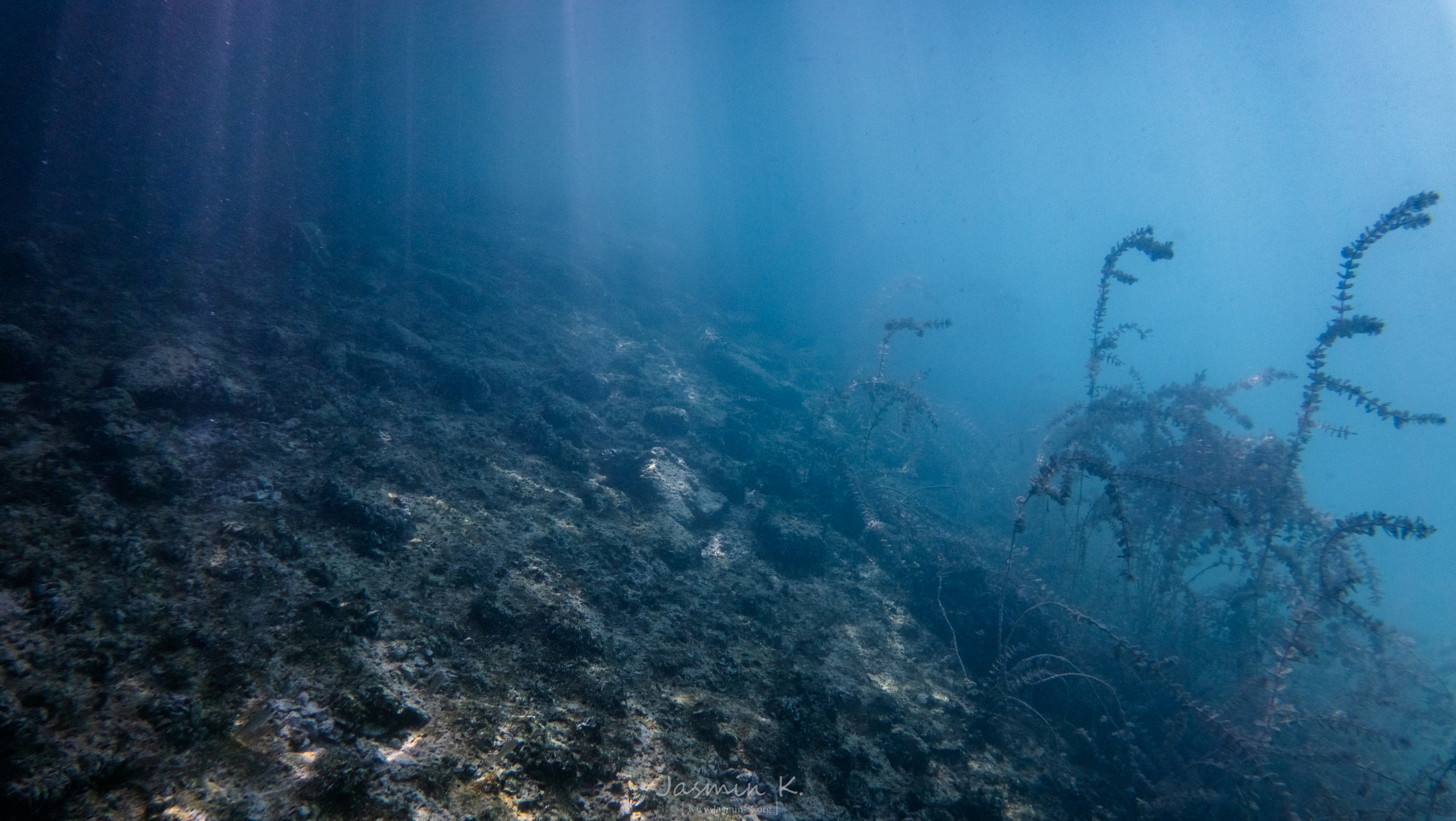 DJI 20250815124307 0305 D 001